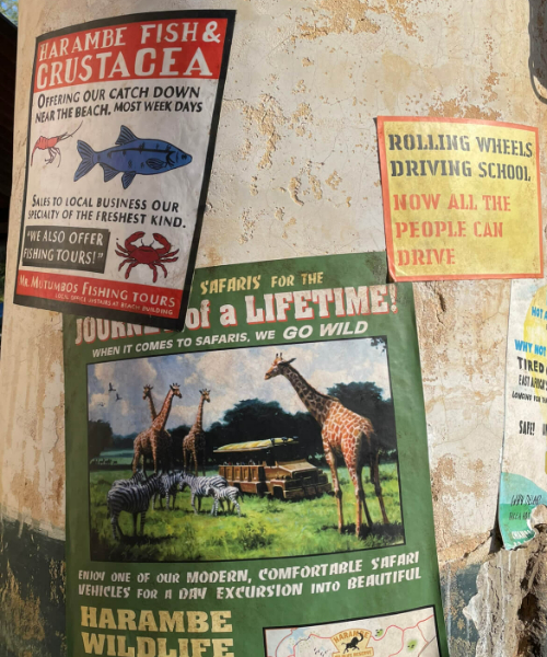 harambe_signs_africa_animal_kingdom