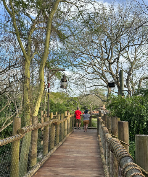 savor_the_savanna_bridge_animal_kingdom