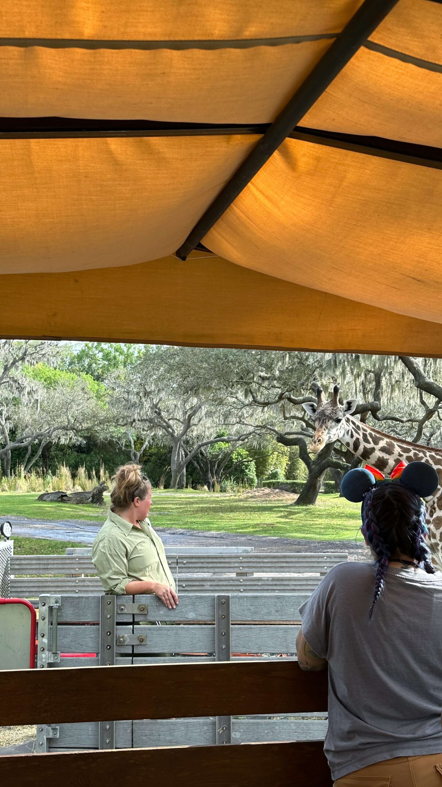 savor_the_savanna_zookeeper_animal_kingdom